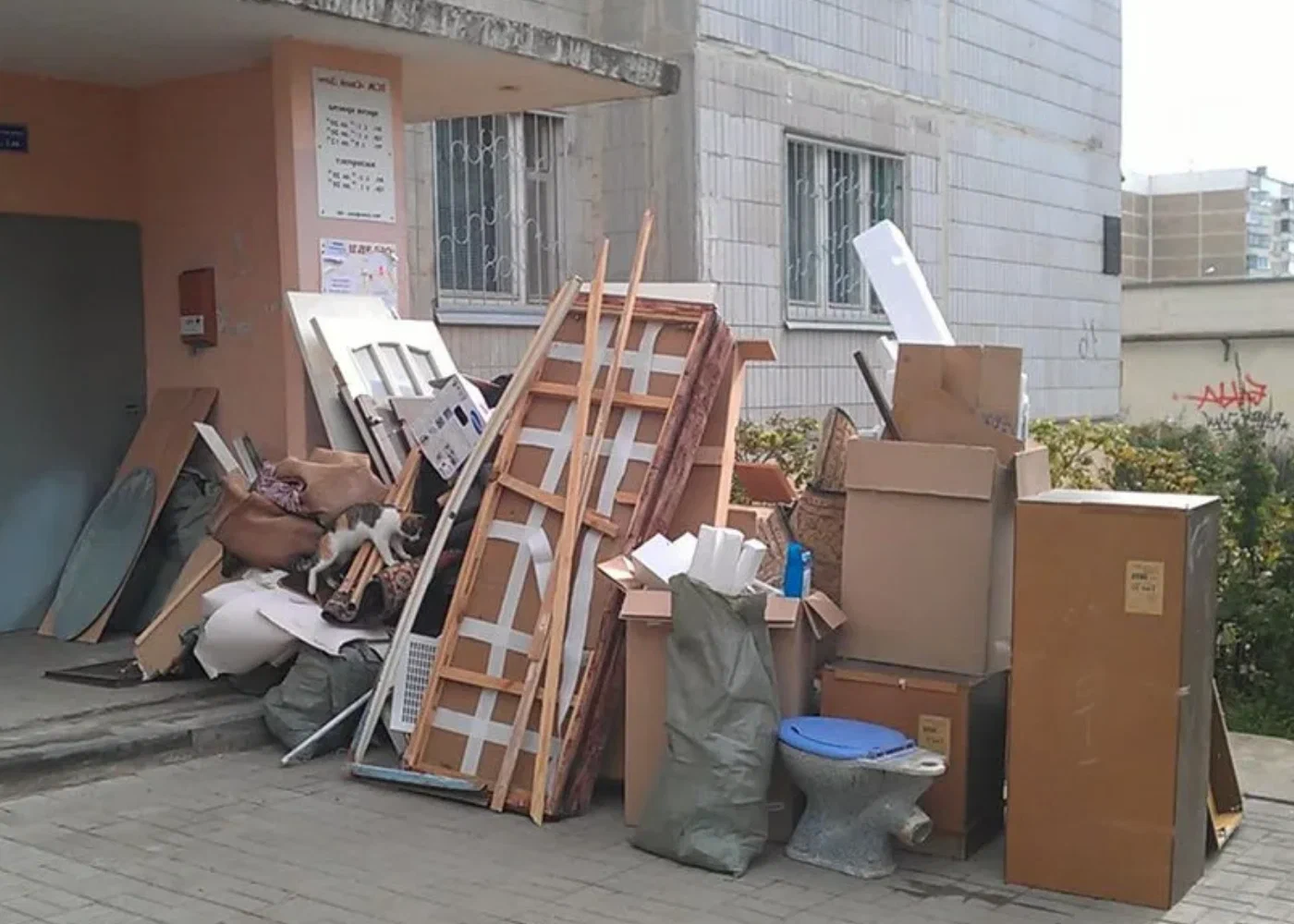Профессиональный вывоз мусора из квартиры в Воронеже в октябре