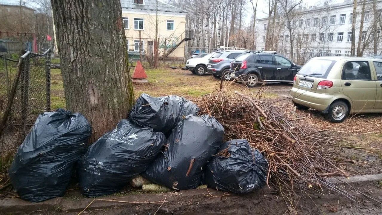 Вывоз мусора после субботника в Воронеже от ПроМусор – уборка и утилизация отходов от 2524 руб